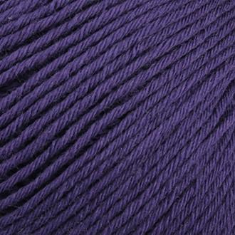 503 Plum | Bellissimo 5