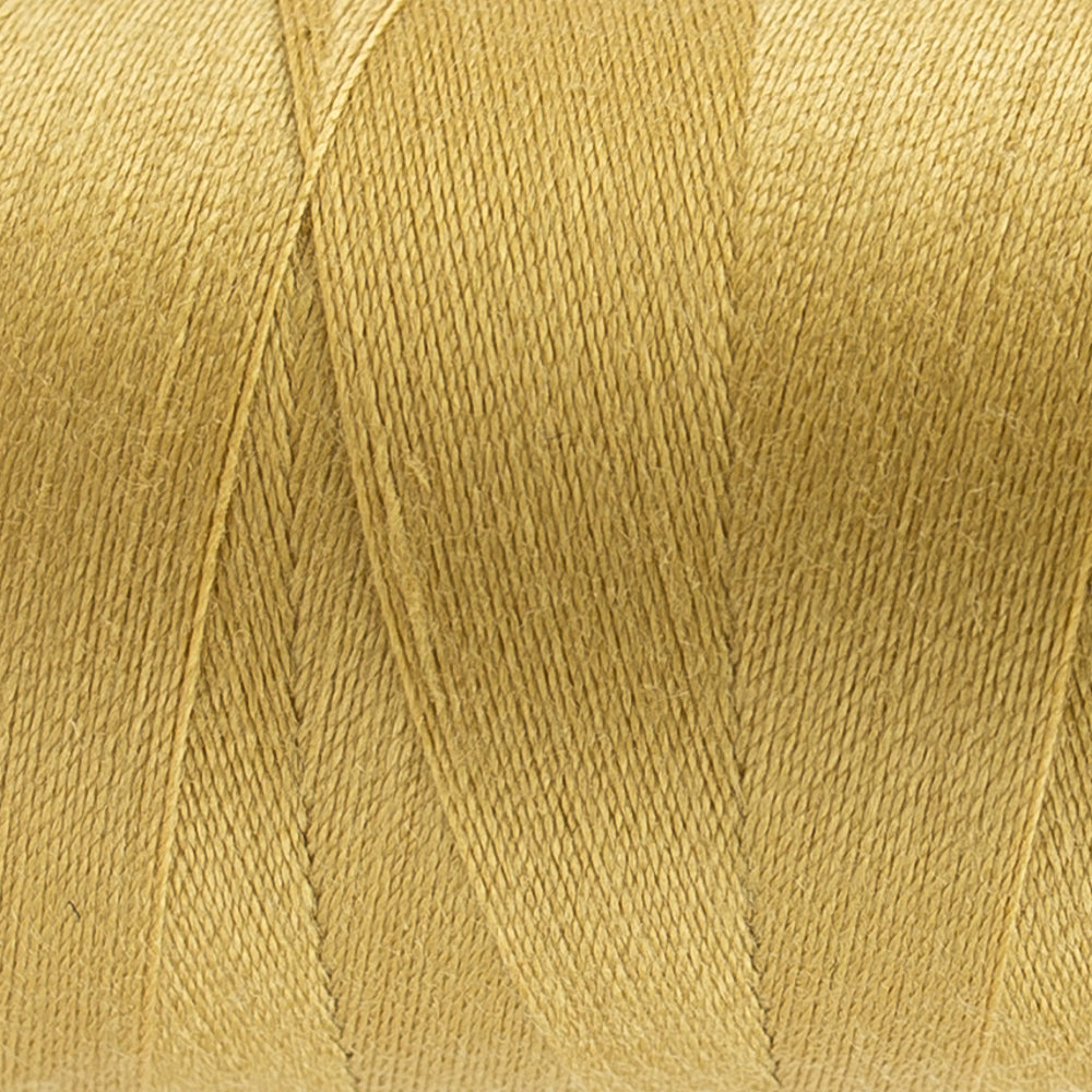 Designer | DS166 Tulip Tree