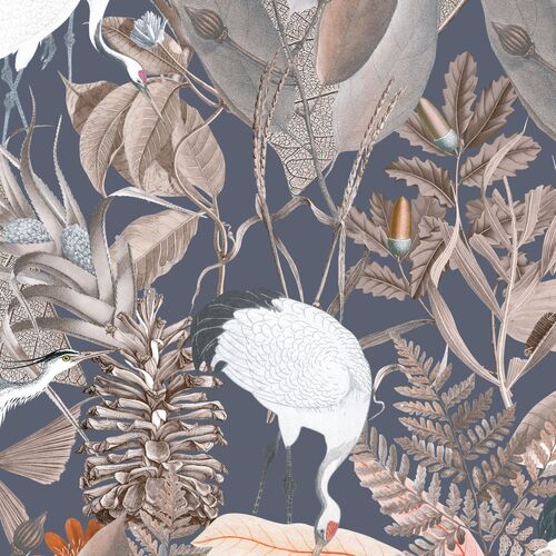 Unrivalled Collection Exotic