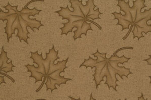 Kansas Troubles Favourite