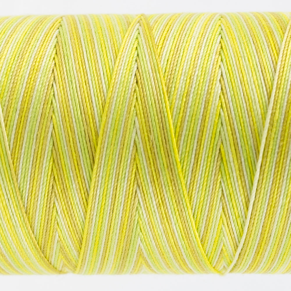 Frutti | FT03 Citrus