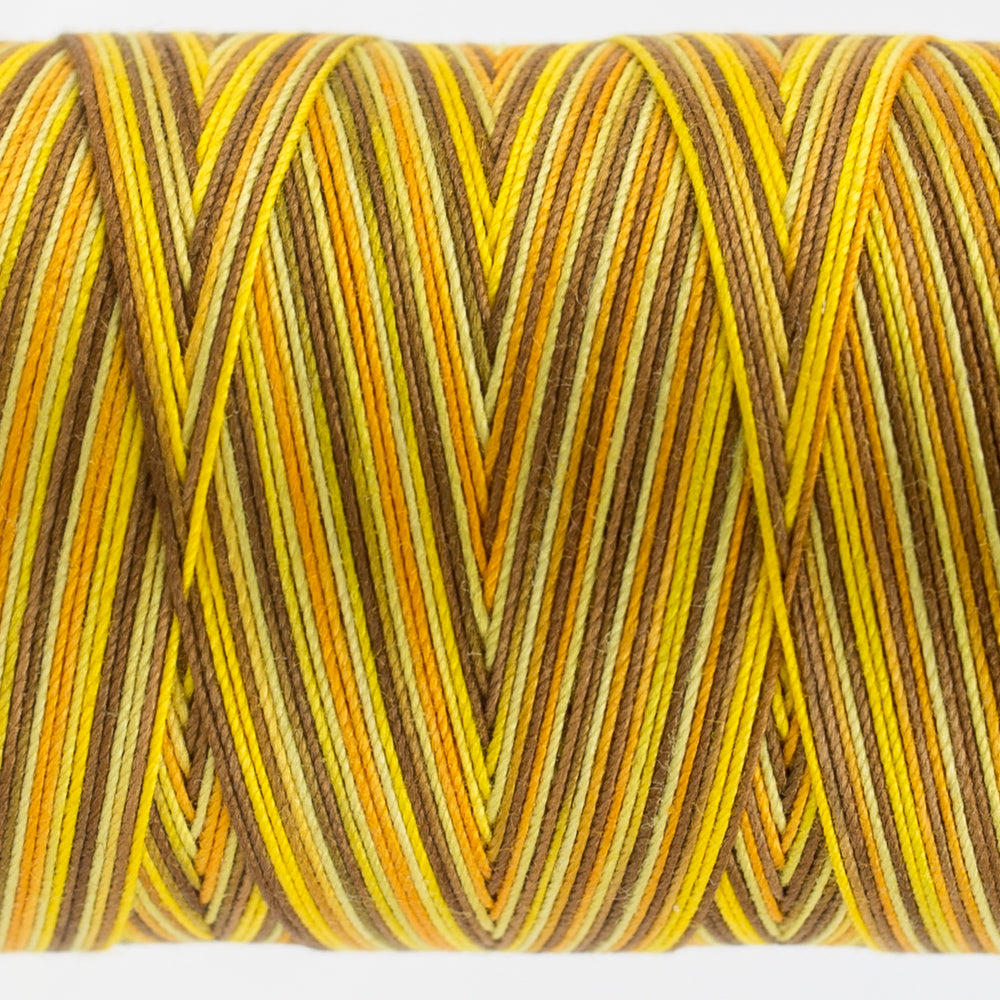 Frutti | FT06 Sunflower