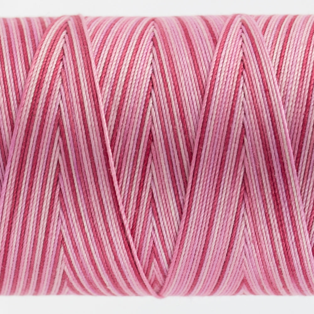 Frutti | FT13 Hibiscus