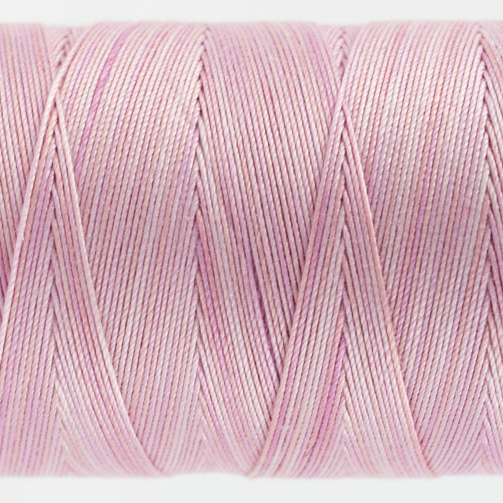 Frutti | FT15 Carnation
