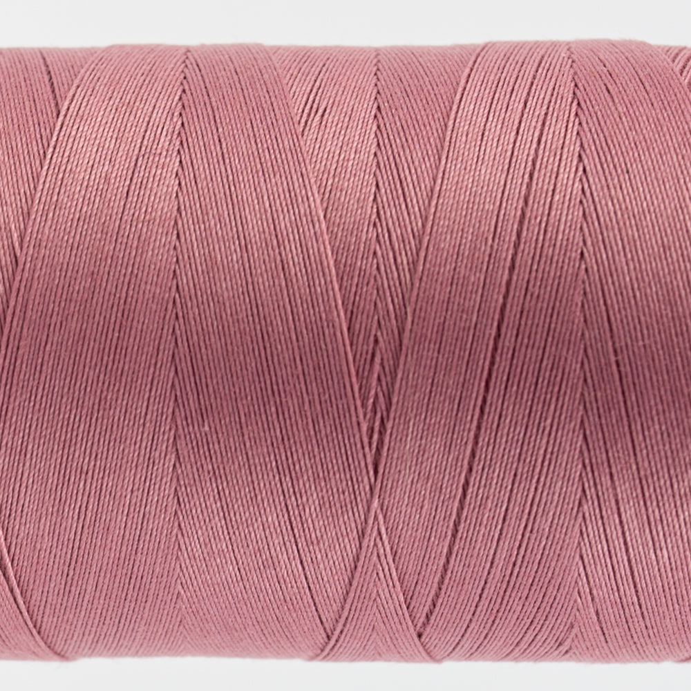 Konfetti™ | KT300 Rose