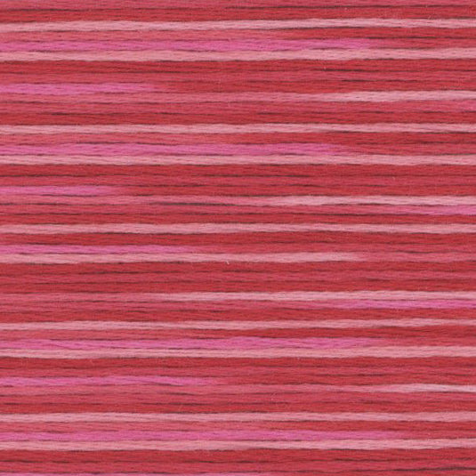 COSMO Variegated | 5002