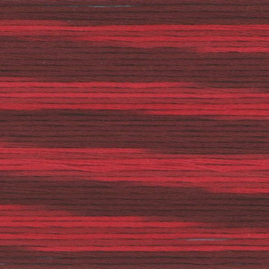 COSMO Variegated | 5006