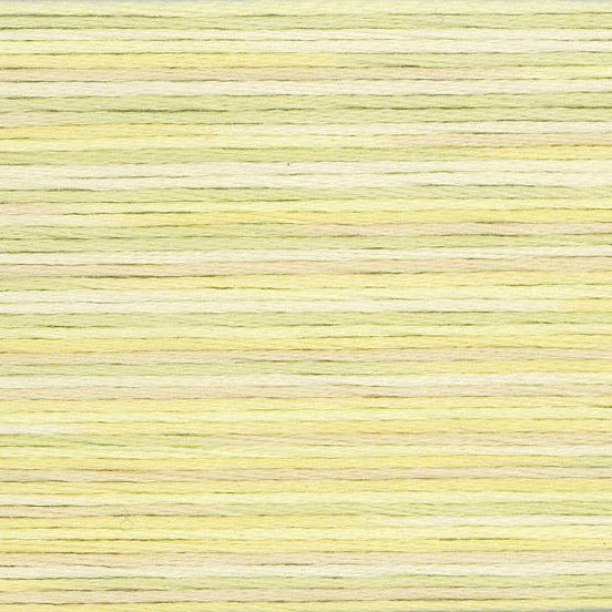 COSMO Variegated | 5010