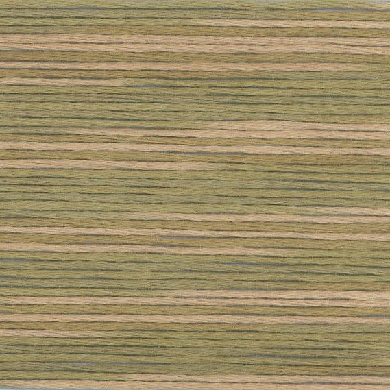 COSMO Variegated | 5011