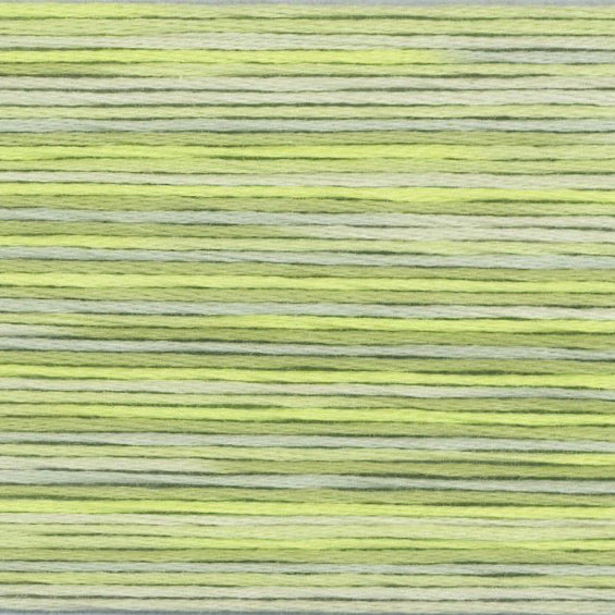 COSMO Variegated | 5013