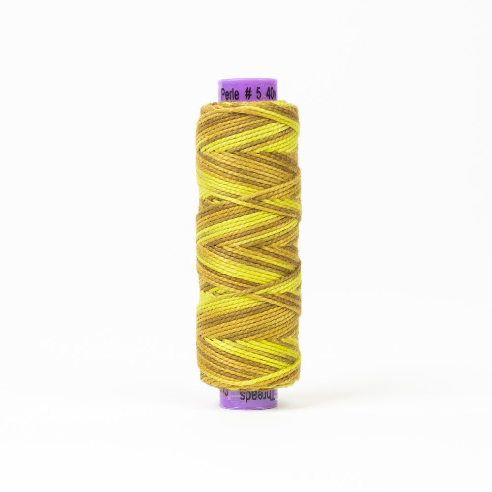 Eleganza™ | EZM5- 06 Golden Rules