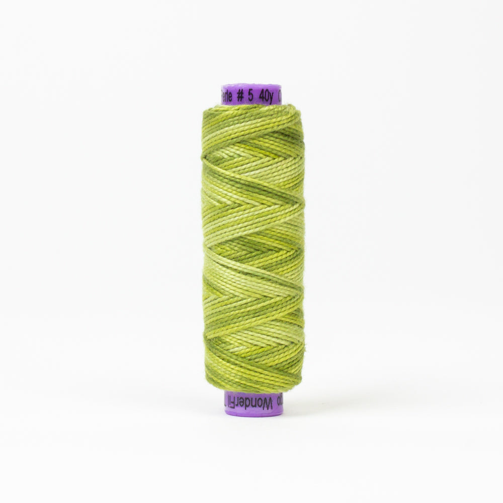 Eleganza™ | EZM5-12 Inchworm