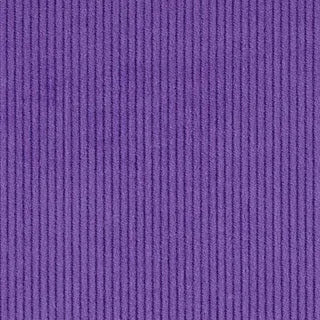 Corduroy 21 W MARDI GRAS